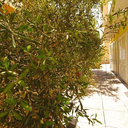 Studio Apartments Split Split